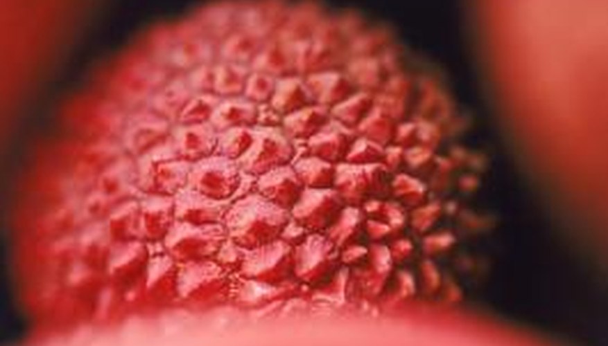Lychee is often used for flavouring in cocktails.