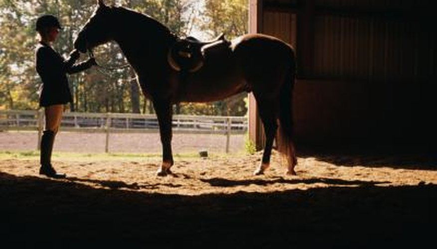 How to Write a Business Plan for an Equine Facility