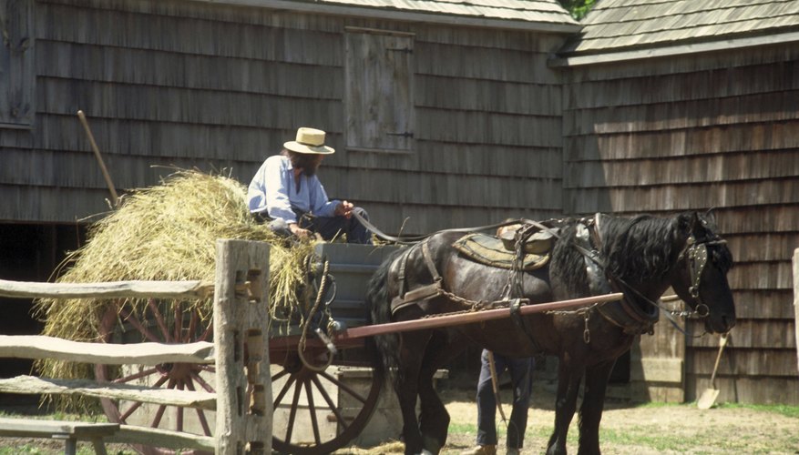 The Amish are perhaps best known for their old-world lifestyle.