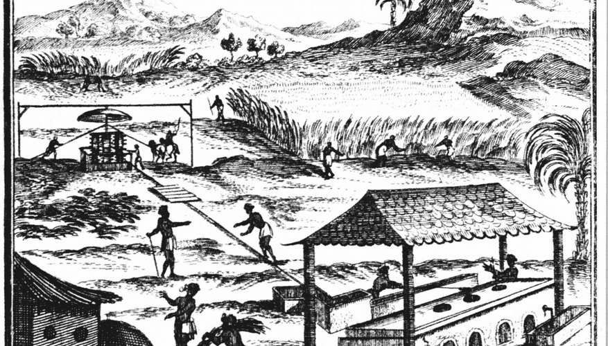 The slave ship Brookes brought African captives to Caribbean sugar plantations.