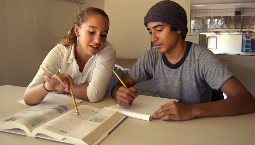 Differences in gender learning styles have a foundation in differing brain structures.