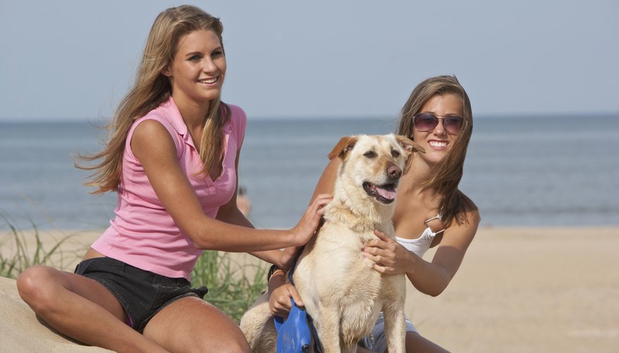 Take your bored friend on a beach trip for some excitement.
