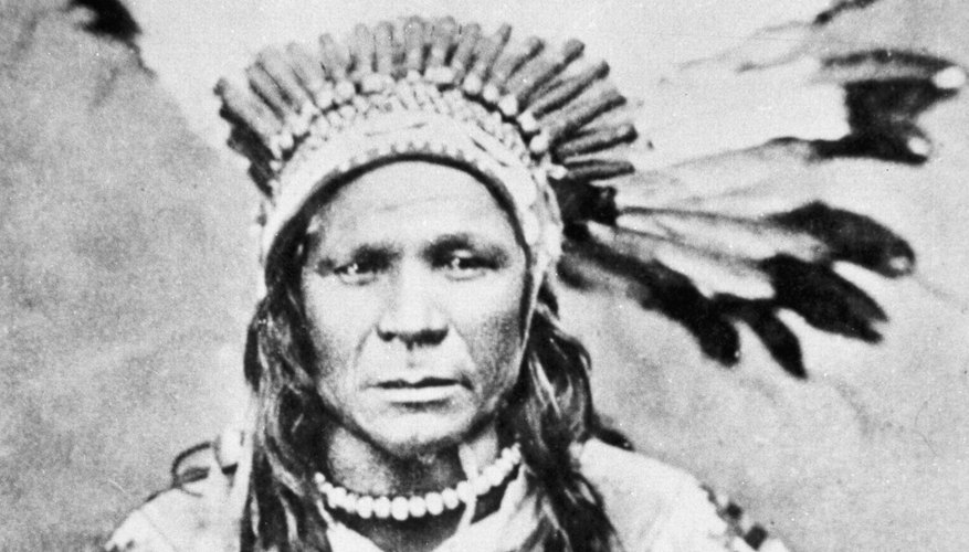 Chief Crow Flies High struggled to maintain Native American culture during the Plains War period.