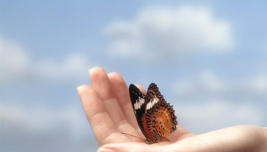 Keep your hands looking beautiful with natural nourishing techniques and regular little attentions.