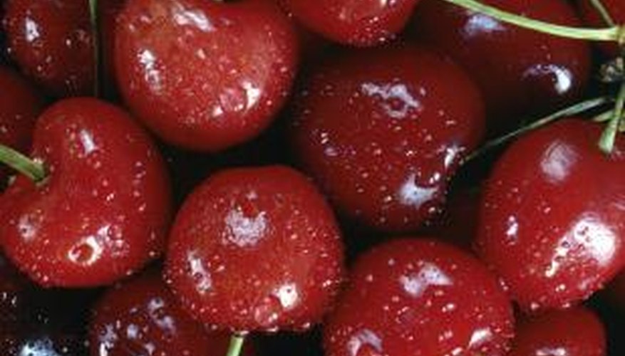 Prevent worms inside your juicy, red cherries.