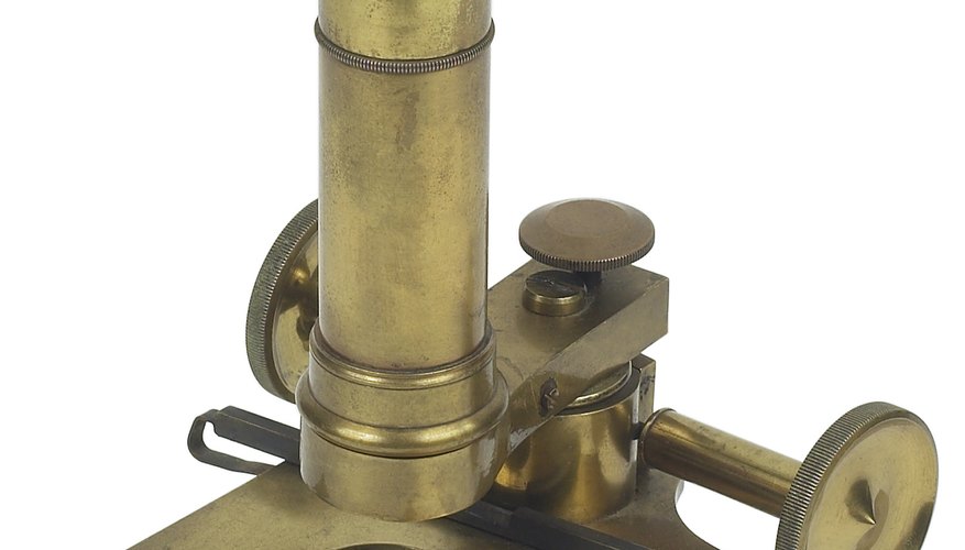 Zacharias Janssen invented the compound microscope.