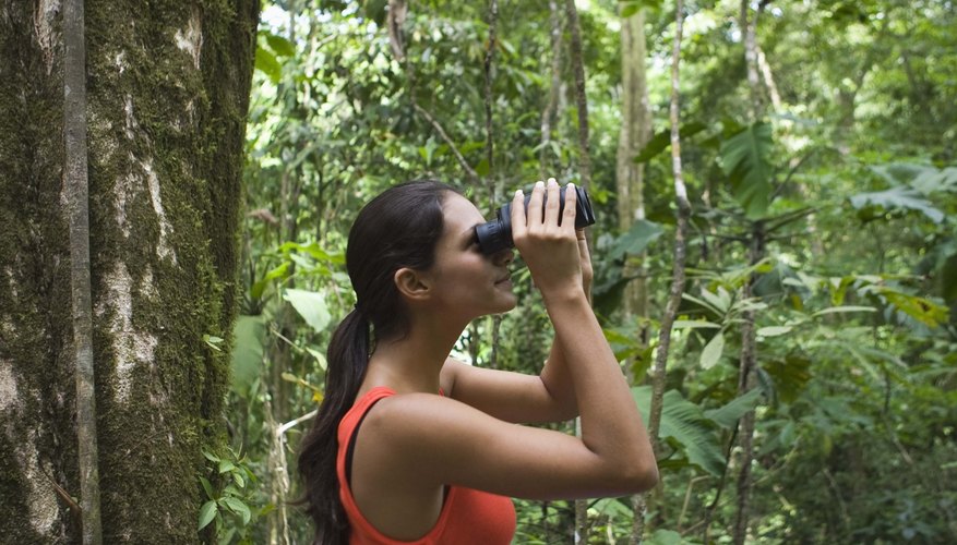 Ecotourism can be a rewarding experience for people, but not always for biodiversity.