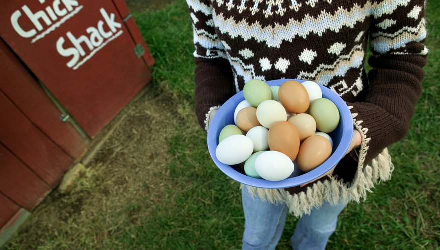 Photo Credit: Thinkstock Images/Comstock/Getty Images Organically raised chicken meat and ares are easy to care for and a significant part of the local market.