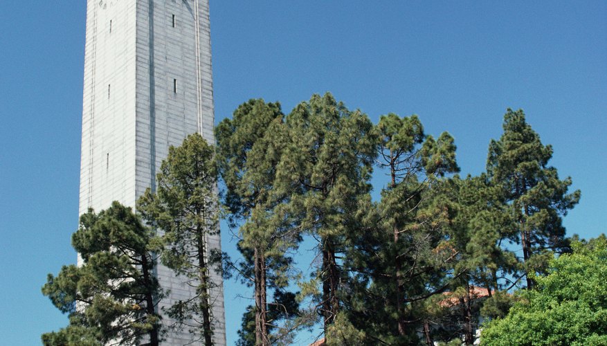 Visit your college's admissions page to see how many years of foreign language study are required.