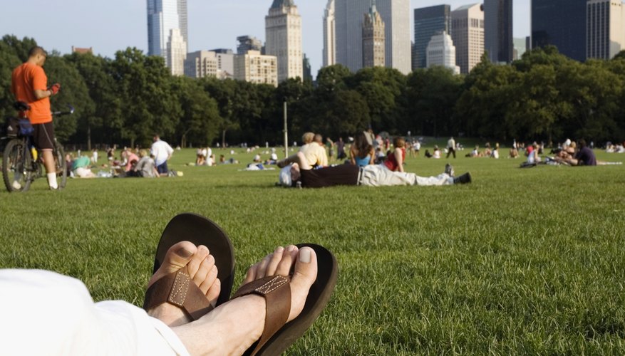 A city government may develop and maintain public parks and recreational areas.