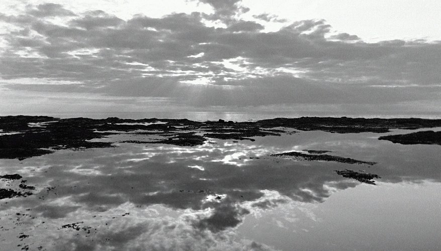 How Does the Water Cycle Renew Earth's Supply of Fresh Water?