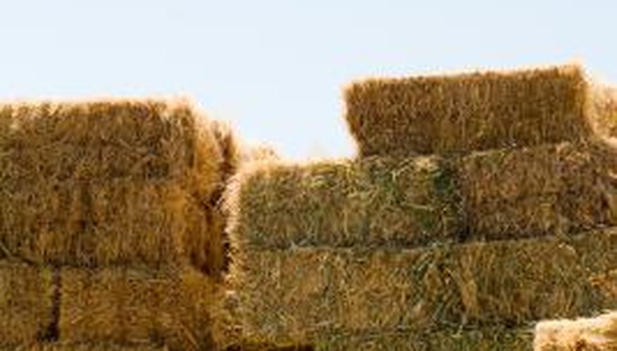 Hay bales are kept in stacks to help protect them from moisture.