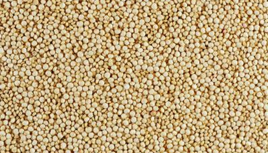 Quinoa is a small, grain-like seed.