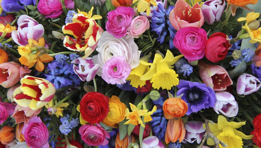 Brightly-colored flower arrangement
