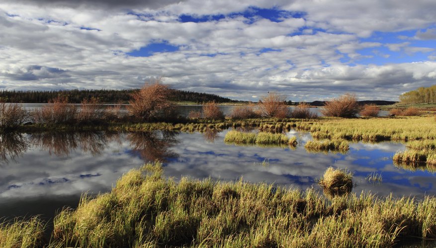 National Forest Lake, Laramie, WY.
