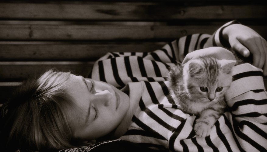 Make your cat's end-of-life decisions now to give yourself emotional space later.
