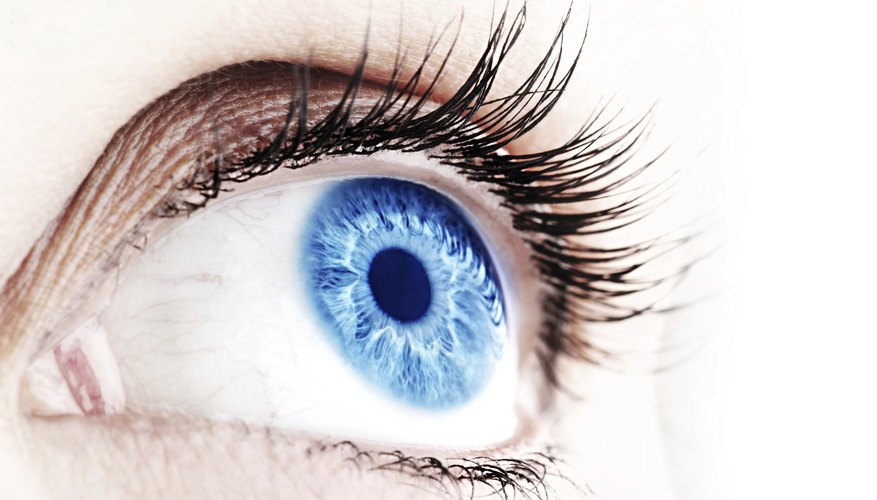 Close-up of woman's eye