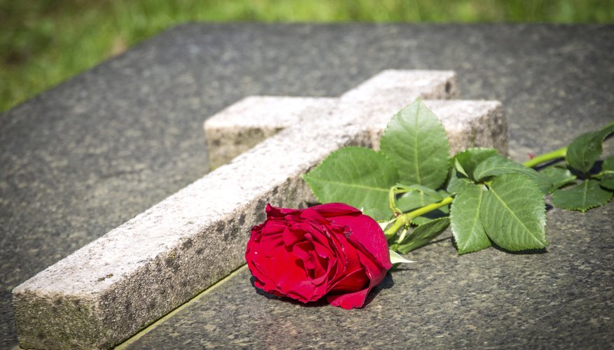 Red rose at cemetery