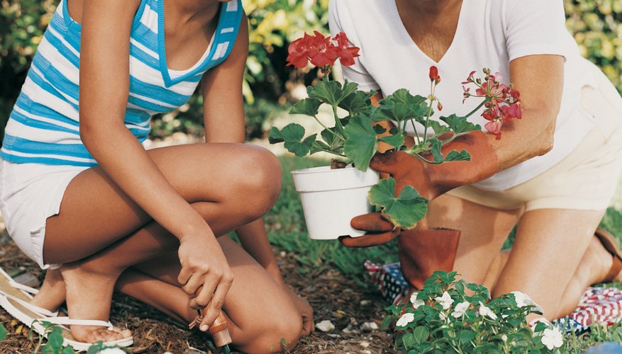 Teach each other the ins and outs of your favorite hobbies.