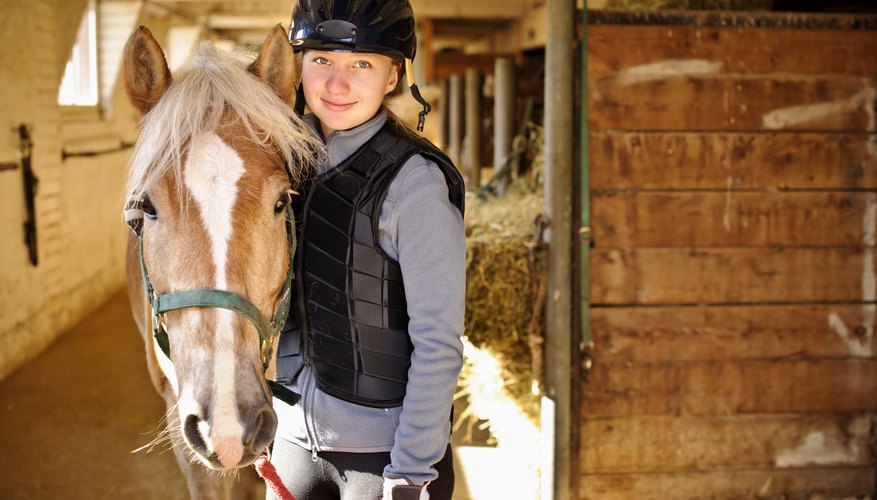 Over 50 schools in the United States offer equine studies bachelor's degrees.