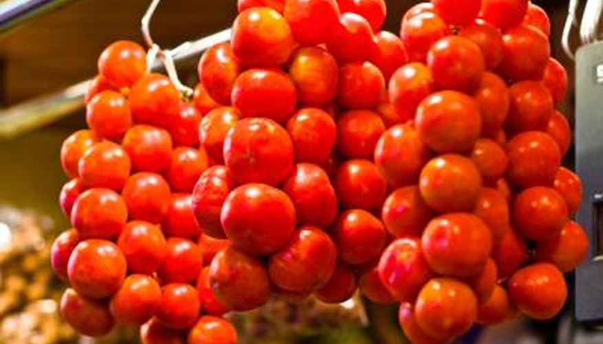 Tom Thumb cherry tomatoes are good for container culture.