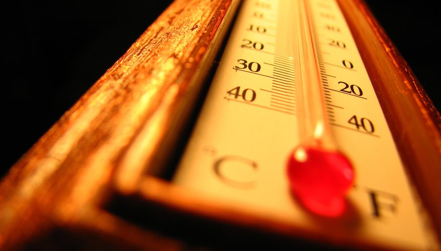 Allow children to handle and look at a real thermometer.