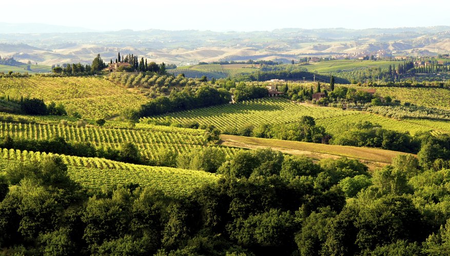 Wide shot of the Tuscan countryside