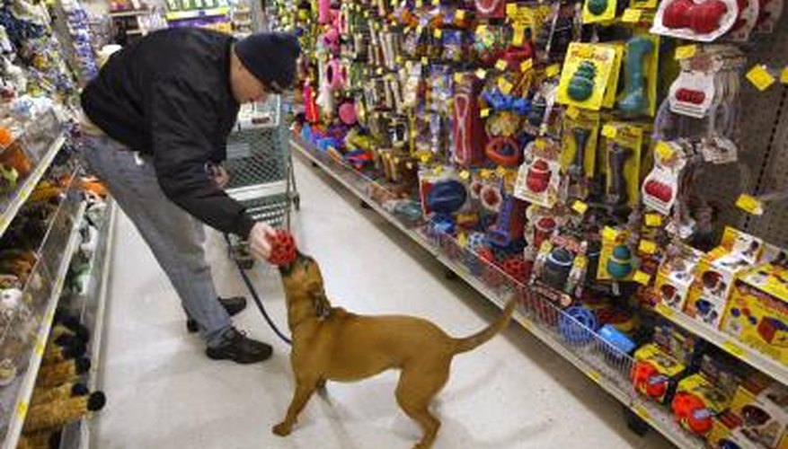 are dogs allowed in french supermarkets