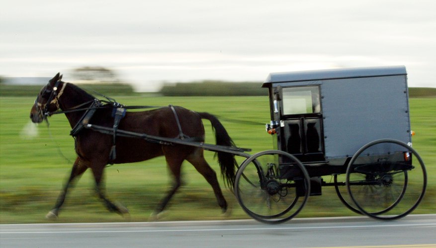 Mennonites sometimes use the same horsedrawn carts as the Amish to transport a casket to the church or cemetery.