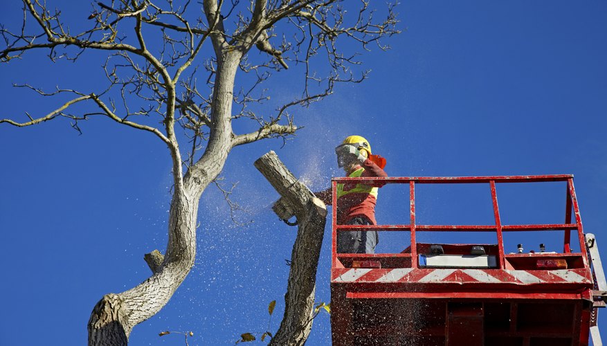 Worker being lifted in man basket