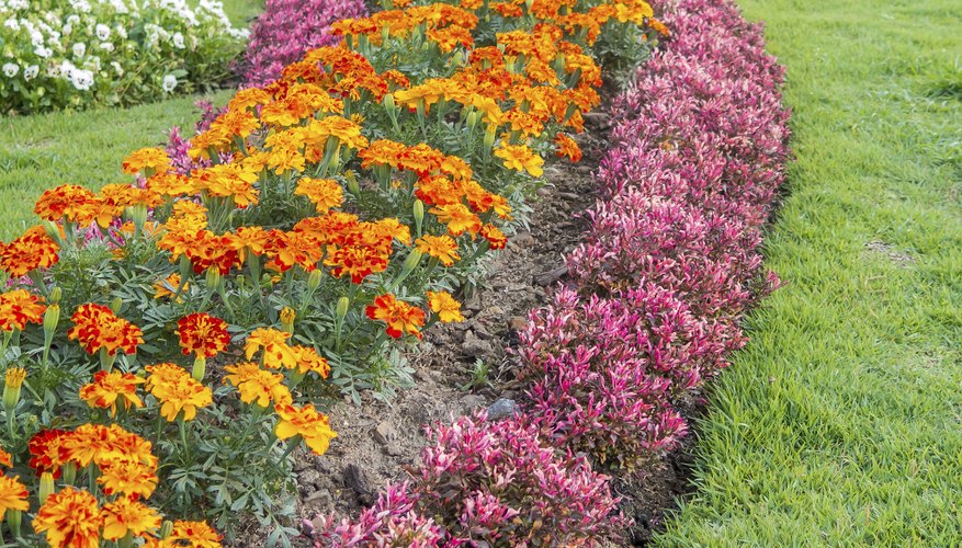 Patio en jardín de exposición