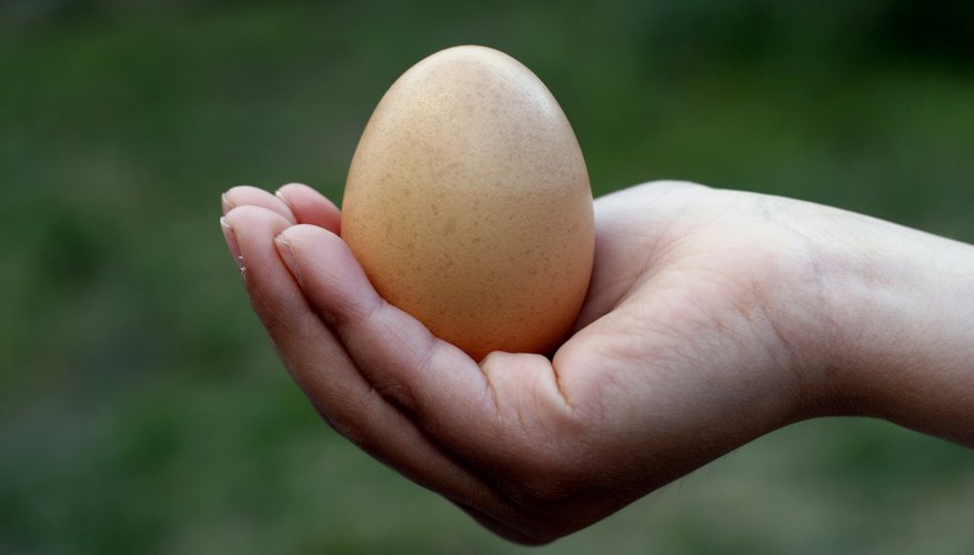 A woman's hand cradle the
