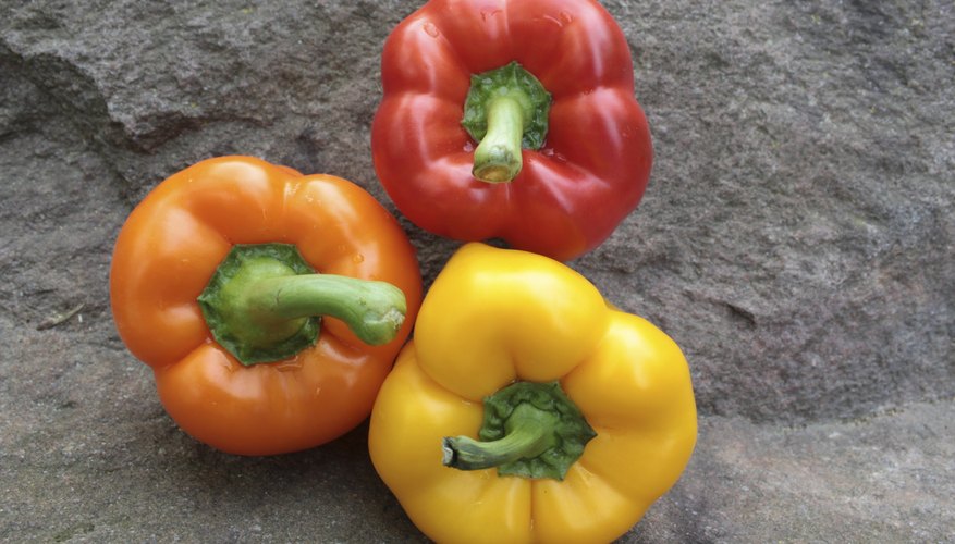 Three colored bell peppers.