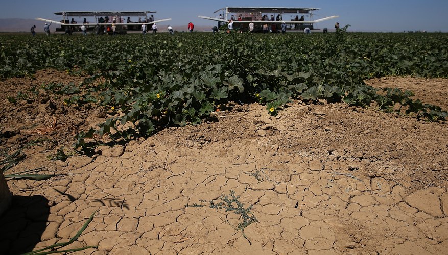 Photo Credit: Justin Sullivan/Getty Images News/Getty Images Dry cracked earth section on a cantaloupe farm near Firebaugh, CA.