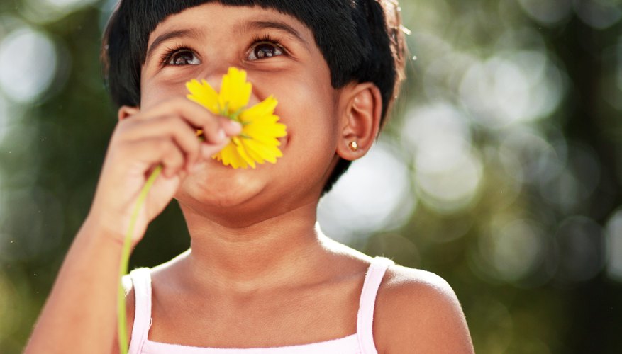 Introduce your child to poems about flowers.