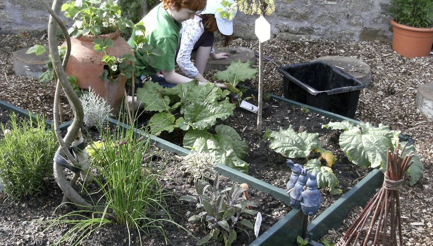 Two young students tend to a school garden.