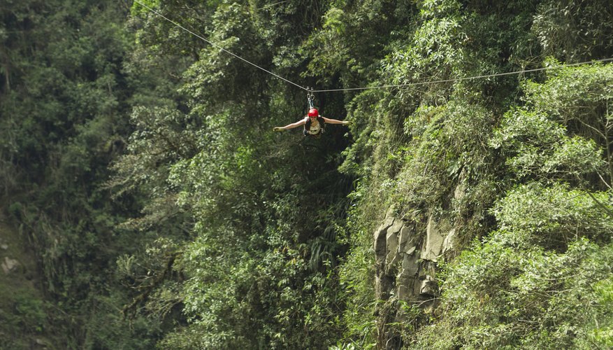 Happy birthday, and hang on for a bird's-eye view of the jungle.