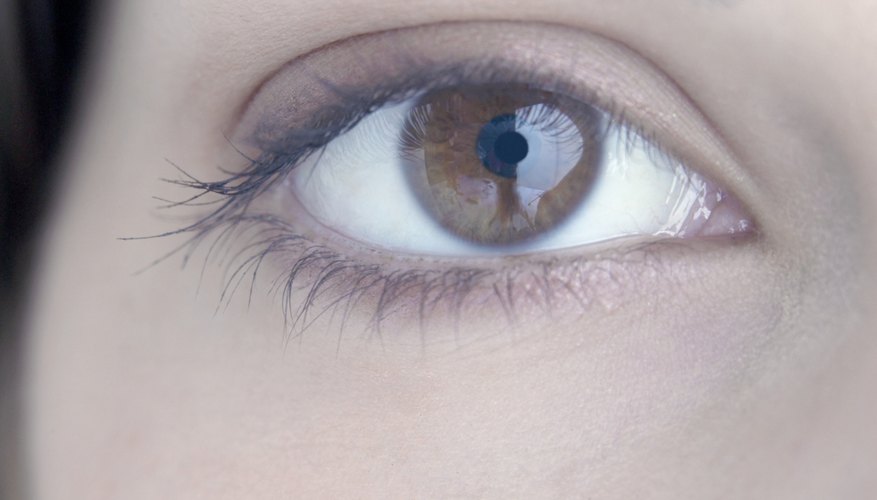 Brow powder can work wonders in creating natural-looking brows.