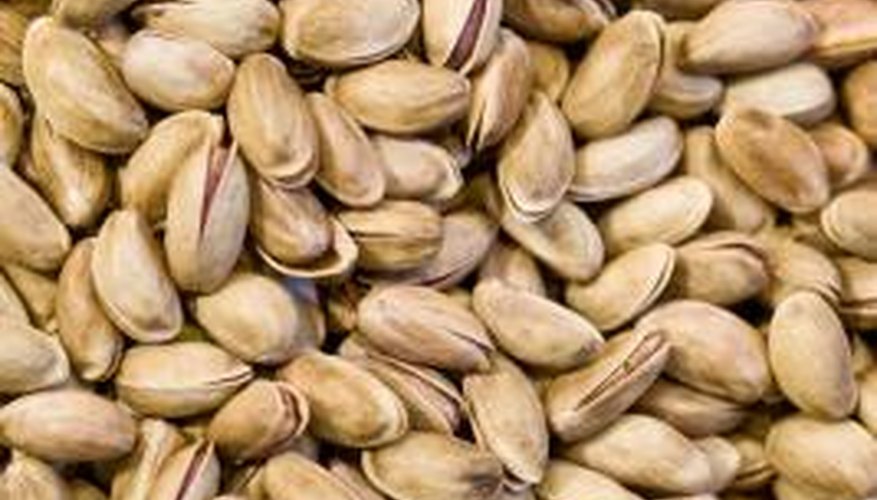 Pistachio shells can be turned into musical shakers.