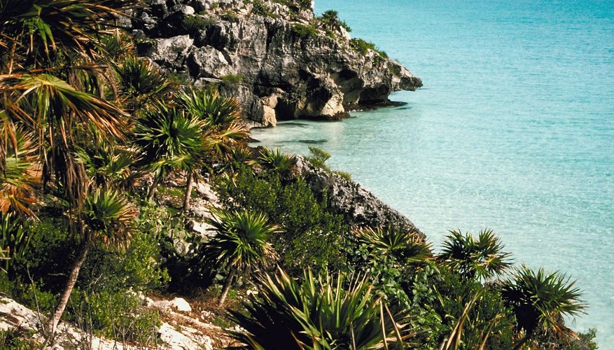 The explorers saw Tulum's tower on the coast.
