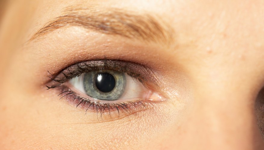 Use the archer to eliminate hair between the eyes.