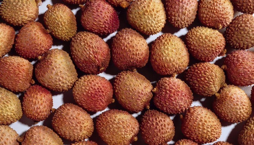 The lychee: food facts.
