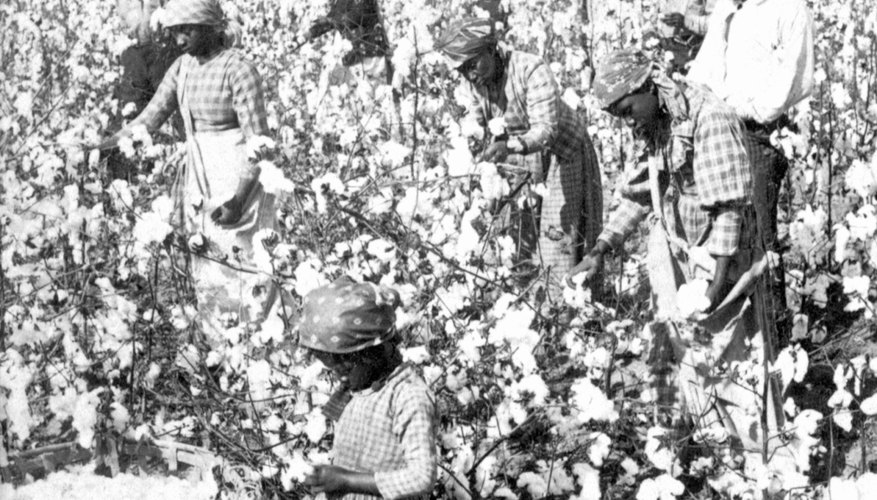 Transcendentalists were precursors to many social justice movements, including the abolitionist movement to end slavery.