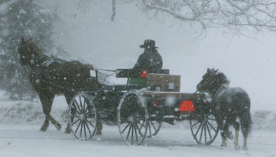 Like much in the Amish culture, Amish dolls reflect tradition and history.