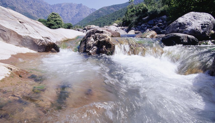 Ecosystems come in diverse forms.