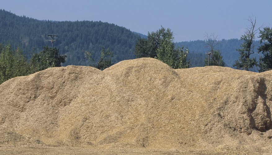 Sawdust