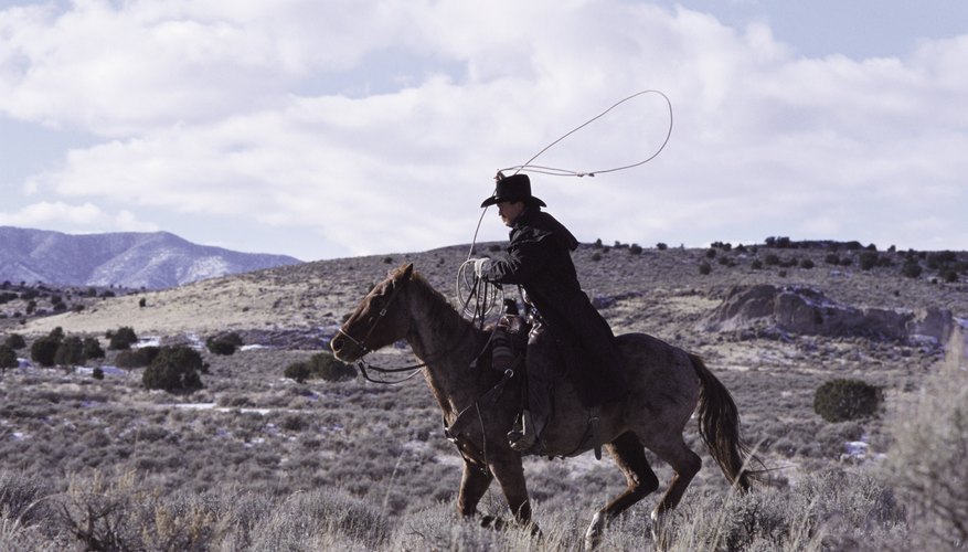 Cowboy riding his horse with lasso in hand.