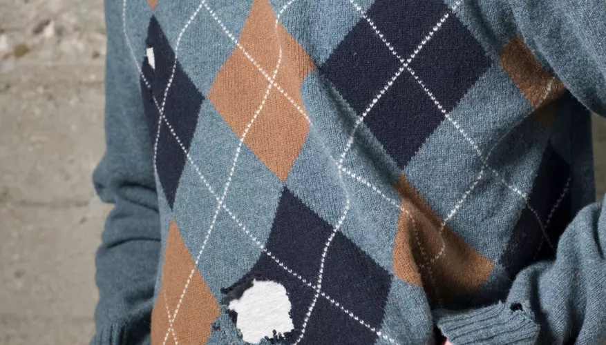THE TINY BLACK BUGS THAT GET INTO CLOTHING
