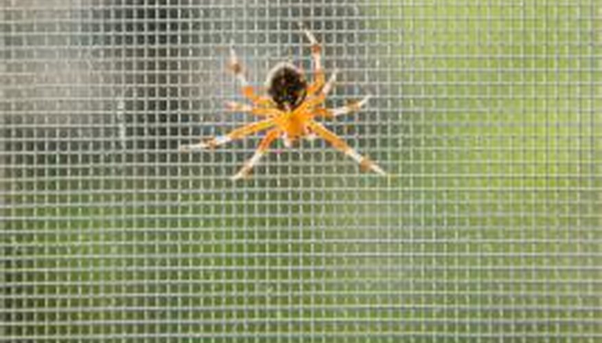 Keep spiders out of your home with sprinkles of orange scent everywhere.