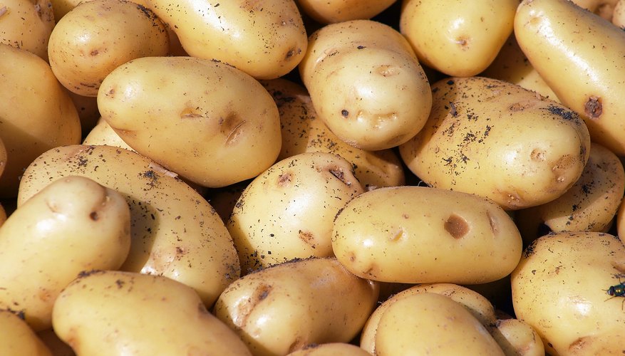 Don't confuse lucky tatties with tatties.